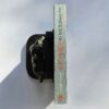 The Immortal Life Of Henrietta Lacks by Rebecca Skloot - The Paperhound Online Bookshop The Immortal Life Of Henrietta Lacks by Rebecca Skloot (Paperback)