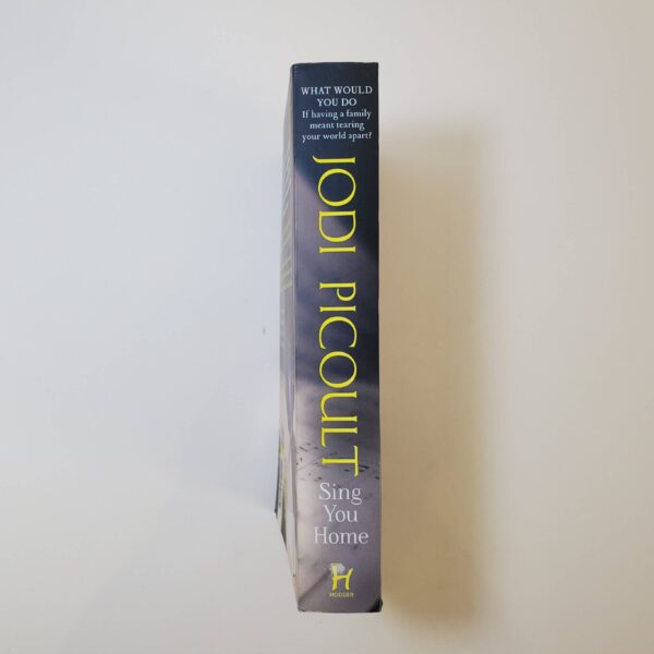 Sing You Home by Jodi Picoult (Paperback)