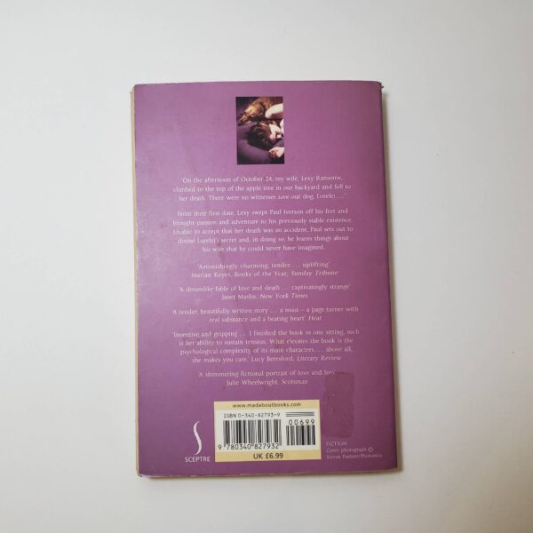 Lorelei's Secret by Carolyn Parkhurst (Paperback)