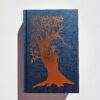 The Invisible Life of Addie LaRue by VE Schwab (Hardcover)